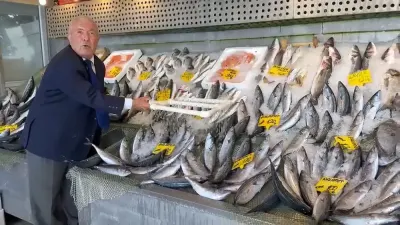 Balık Sezonu Bereketli Başladı: Hamsi 200, Palamut 100 Liradan Satılıyor