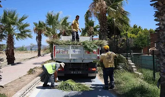 Kuşadası'nda yeşil alanlarda kapsamlı bakım ve düzenleme çalışması