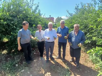 Adana Yüreğir'de Dolu Afeti: 35 Bin Dönüm Tarım Alanı Zarar Gördü