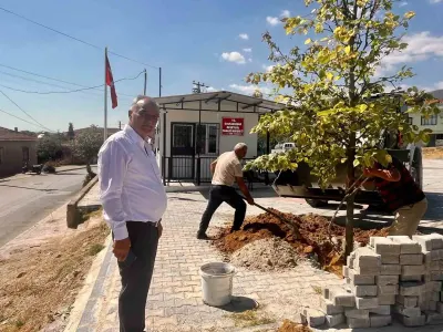 Sultanhisar’da Daha Yeşil Bir Gelecek İçin Ağaçlandırma Çalışmaları Hız Kesmeden Devam Ediyor