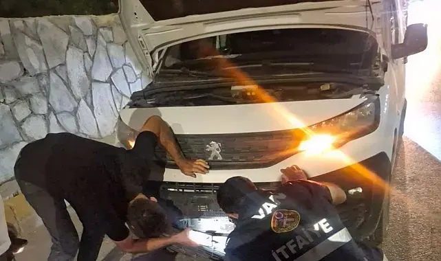Van'da kamyonetin çarptığı köpeği kurtardı