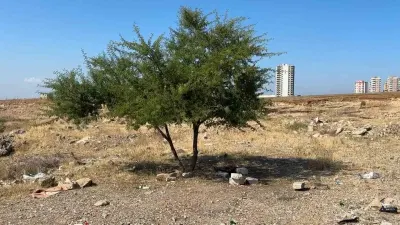 Adana'da Korkunç Olay: Boş Arazide Hareketsiz Yatan 35 Yaşındaki Genç Ölü Bulundu