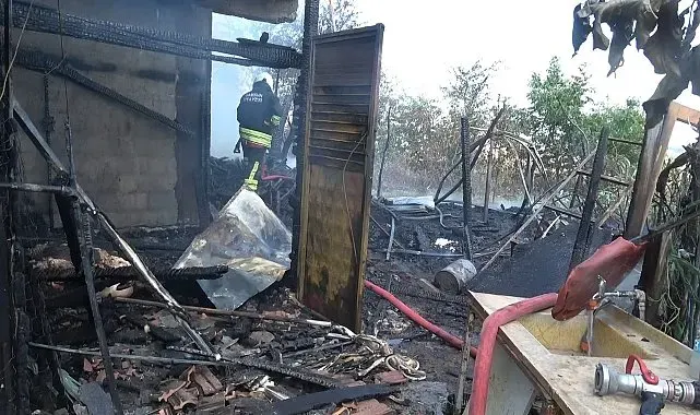 Bafra'da bağ evi alevlere teslim oldu: 1 büyükbaş hayvan telef oldu