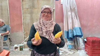 Doğal şifa kaynağı kudret narı Aydın'da pazar tezgahlarında yerini aldı