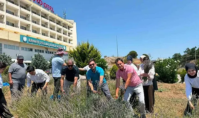 Burhaniye'de "Lavanta Kokulu Okul" da hasat heyecanı
