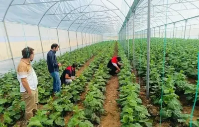 Cizre’de Çiftçilere Sera Denetimi ve Sürdürülebilir Tarım Eğitimi