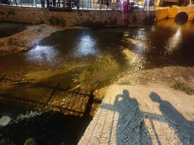Konya'da Nadir Görüş: Bozkır'da Çarşamba Çayı İçerisinde Su Samuru Görüntülendi