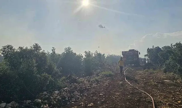 Gaziantep'te çıkan orman yangını havadan ve karadan müdahaleyle söndürüldü