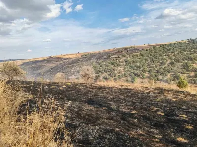 Konya'da Korkutan Orman Yangını Söndürüldü