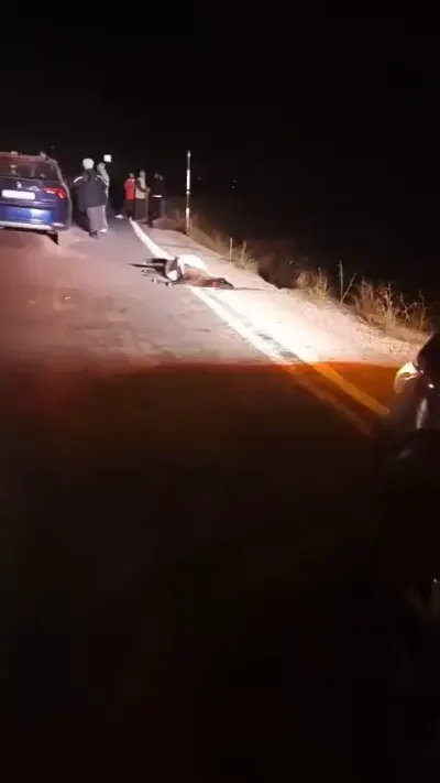 Yüksekova'da Otomobil Sürüye Çarptı: 4 Koyun Telef Oldu