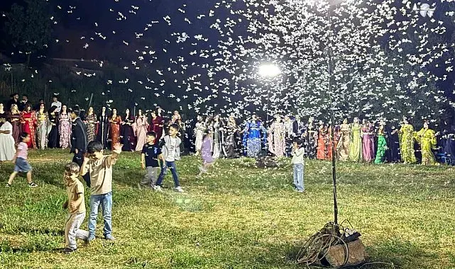 Düğün alanını kelebekler sardı, davetliler oturdu kelebekler dans etti