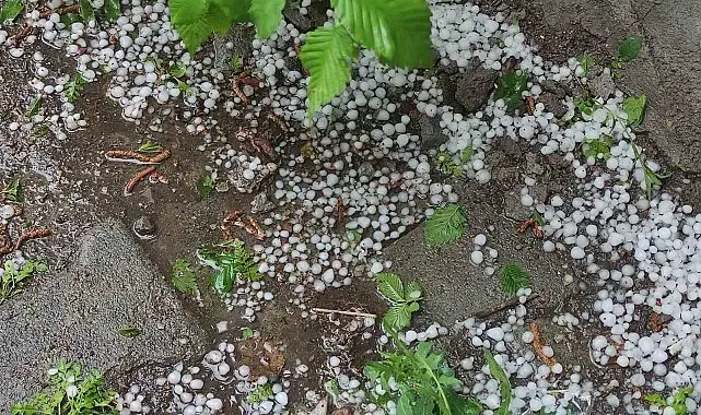 Ardahan'da sağanak ve dolu yağışı tarım arazilerine zarar verdi