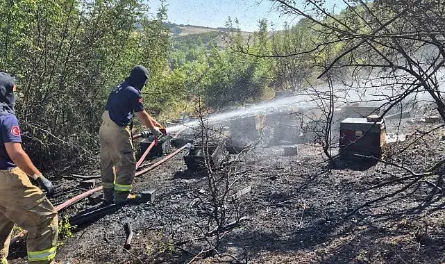 Yangında 85 arı sandığı kül oldu