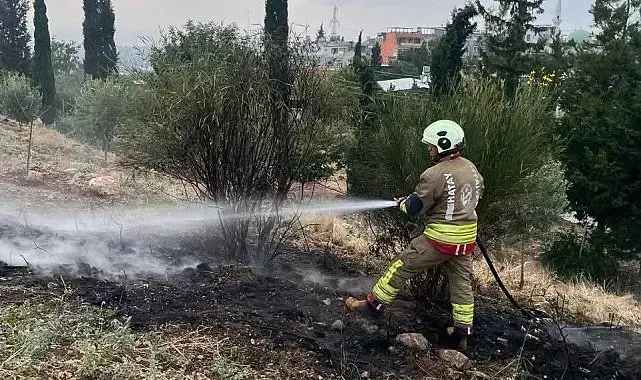İskenderun'da otluk alan yangını
