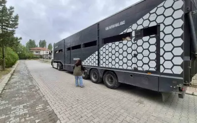Afyonkarahisar Sinanpaşa'da Hayvan Sevklerine Sıkı Kontrol