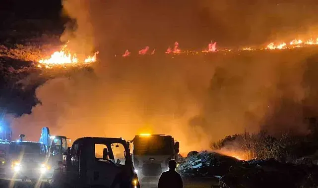 Bodrum'da makilik alanda yangın