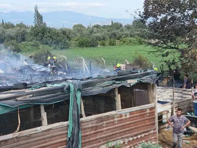 Balıkesir Burhaniye'de Ahır Yangını Paniği: İtfaiye Ekipleri 2 Saatte Söndürdü