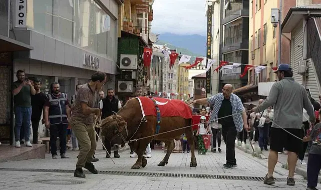"Kafkasör Festivali" boğalı kortej yürüyüşüyle başladı