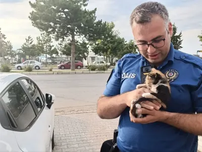 Polisler ve Vatandaşlar Yavru Kedi İçin Seferber Oldu