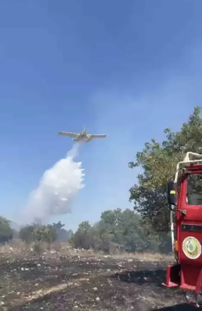 Balıkesir Kocaavşar’da Orman Yangını: Havadan ve Karadan Müdahale Sürüyor