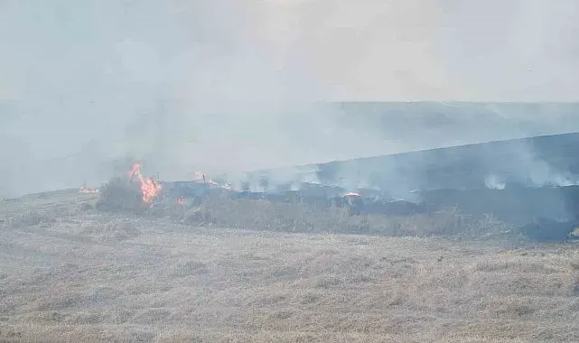 Traktörden sıçrayan kıvılcım tarlayı yaktı