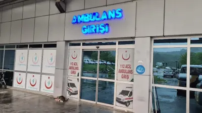Zonguldak'ta Talihsiz Kaza: Ağaçtan Düşen Adam Merdiveni Tutan Arkadaşını Yaraladı