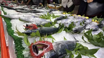 Bolu'da Balık Tezgahlarında Palamut Bereketi Yüz Güldürüyor