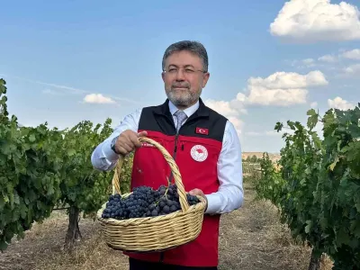 Bakan Yumaklı'dan Üzüm Üretimi Açıklaması: Rekor Rekolte Bekleniyor