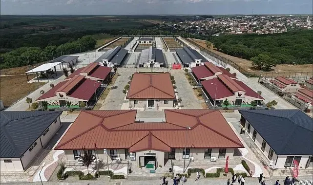 Tekirdağ'da 5 binden fazla sahipsiz hayvana umut oldular
