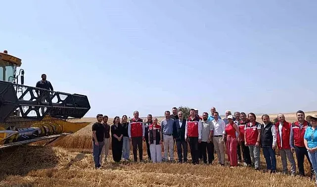 Tekirdağ'da bitkisel yağ üretiminde gıda güvenliği mercek altında