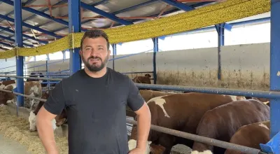 Çankırı'da kamyona binmek istemeyen dana firar etti, besiciye zor anlar yaşattı