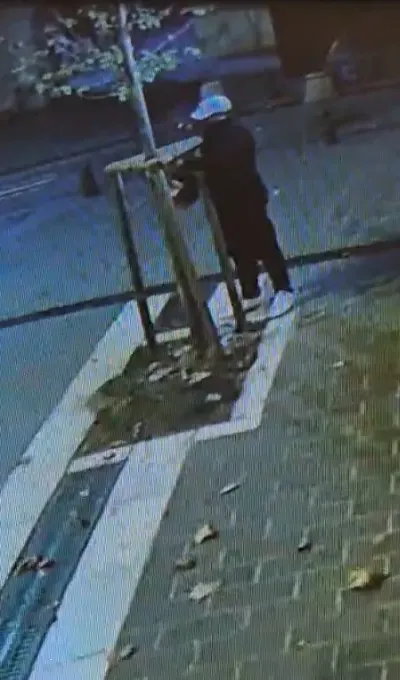 Fatih'te Dükkanın Önünü Kapatıyor Bahanesiyle Ağacı Testereyle Kestiler