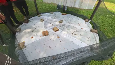 Samsun'da Kahverengi Kokarcaya Karşı 'Cezbet-Öldür' Yöntemi Uygulanıyor