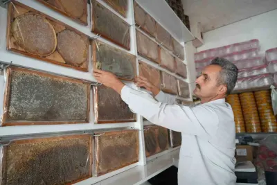 Muş'ta Bal Hasadı Tamamlandı: 700 Ton Bal Elde Edildi
