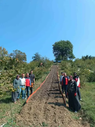 Bartın Kumluca'da Salep Dikimi Gerçekleştirildi