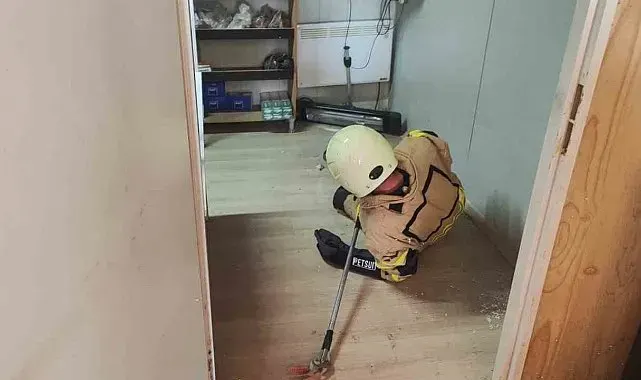 İş yerine giren yılan paniğe neden oldu
