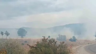 Bolu Seben’de Arazi Yangını Ormanlık Alana Ulaşmadan Söndürüldü