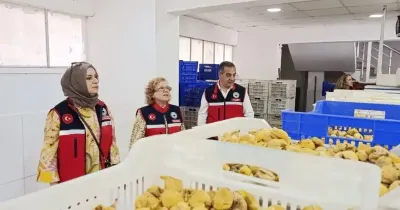 Aydın’ın Sarı Altını İncir İçin Sıkı Denetim Başlatıldı