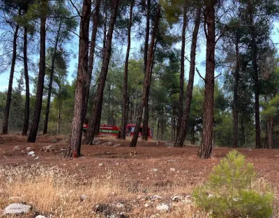 Kahramanmaraş'ta Orman Yangını Korkuttu: Ekiplerin Hızlı Müdahalesiyle Söndürüldü