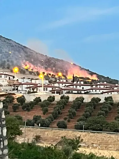 Adıyaman’da Ormanlık Alanda Korkutan Yangın: Ekipler Hızla Müdahale Etti