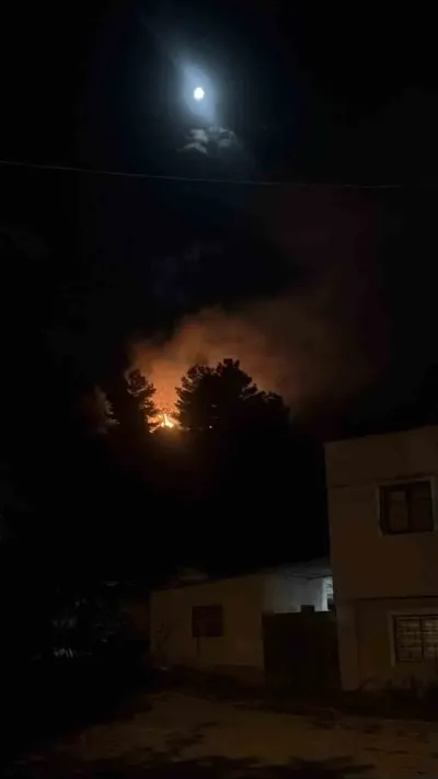 Hatay'da Havai Fişek Nedeniyle Çıkan Orman Yangını Kontrol Altına Alındı