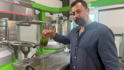 Bursa İznik'te Erken Hasat Zeytinyağına Avrupa'dan Yoğun İlgi