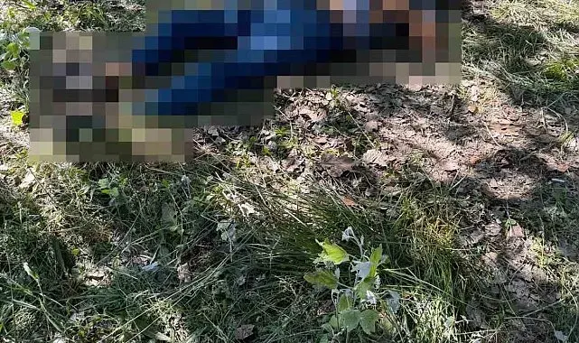 Eskişehir'de bir kişi ağaçlık alanda ölü bulundu