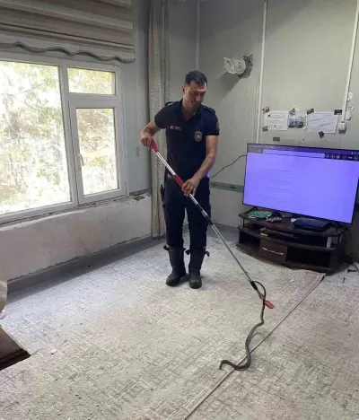 Hatay Defne'de Eve Giren Yılan İtfaiye Tarafından Yakalandı