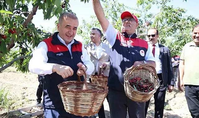 Elazığ'da 7 bin dekar alanda kiraz hasadı devam ediyor