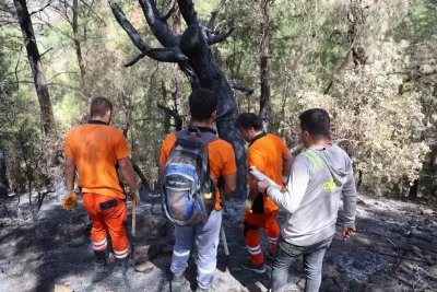 Kozan'da Yanan 5 Bin 900 Hektarlık Alanda Yeniden Yeşillendirme Mesaisi Başladı