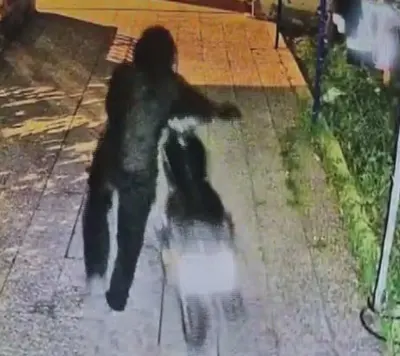Hatay'da 4 Ay İçinde İkinci Kez Motosikleti Çalındı