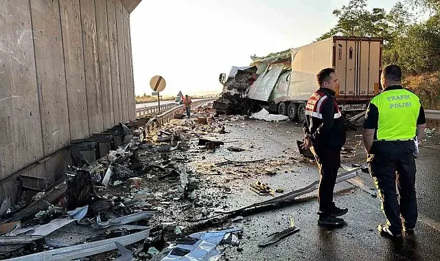 Köprüdeki beton bariyere çarpan tavuk yüklü kamyonun sürücüsü hayatını kaybetti