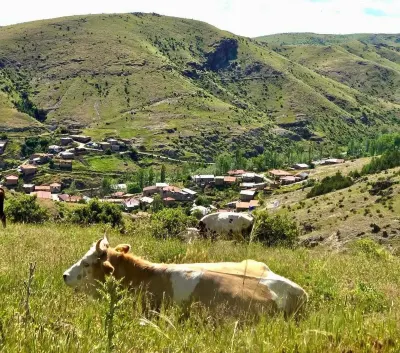 Afyonkarahisar'da Kırsal Dezavantajlı Alanlar Kalkınma Projesi Kapsamında Saha Ziyaretleri Yapıldı