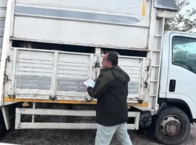 Sapanca'da Belgesiz Hayvan Sevkiyatına Yasal İşlem